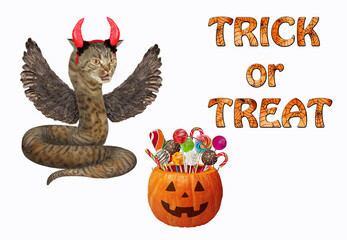 A beige cat snake with wings in red horns is near a pumpkin with candies for Halloween. White background. Isolated.