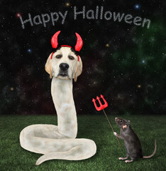 A dog labrador snake in red horns is near a black rat with a devil trident in the meadow for...