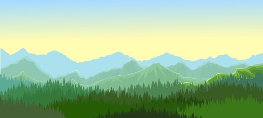 Pine forest. Silhouettes of coniferous trees. Morning. Wild landscape horizontally. Nice panoramic view. Beautifully illustration vector