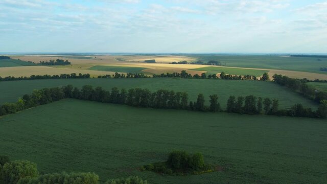 Aerial view of the agricultural fields separated by forest belts