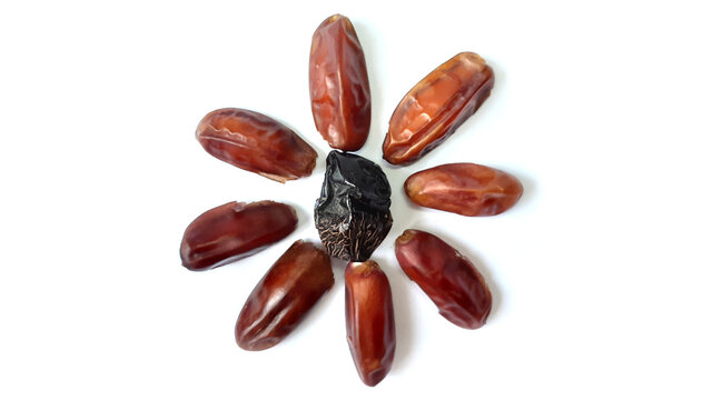 Royal Barni & Ajwa Dates Decoration Isolated on White Background