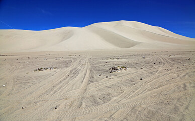 Tire tracks and the dune - Sand Mountain Recreation Area, Nevada