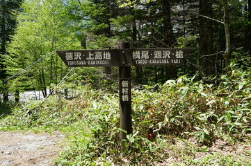 上高地、新村橋へ。　大自然の中、徳沢を超えさらに先までトレッキング。
