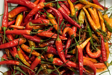 Conjunto de pimientos picantes o chiles 