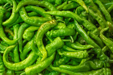 Conjunto de pimientos verdes de freir a granel