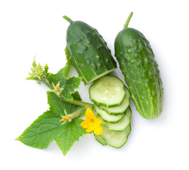 Fresh Cucumber Composition Isolated Over White Background