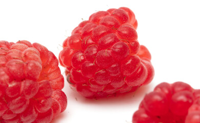 Red raspberries on a white background.