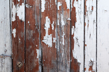 Old textured wood surface with defects and peeling paint. Natural background of larch planks. Design element