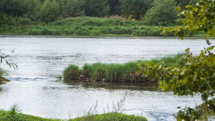 View on the Loire river
