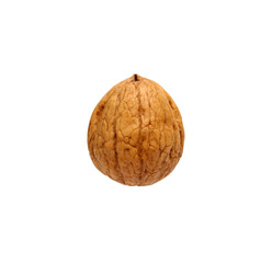 Single walnut isolated on a white
