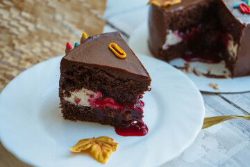 close up view of chocolate cake slice