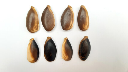 Sapodilla Seeds isolated on white Background