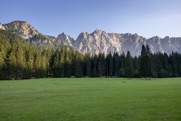 Schattige Wiese mit Wald und in der Sonne liegendem Bergpanorama im Hintergrund 