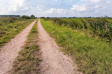 Fototapeta na wymiar Endlessly long sandy path with wheel tracks in a nature reserve in the Dutch province of North Brabant. It is a sunny summer day.