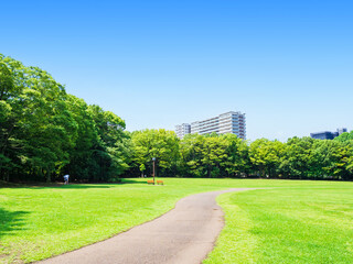 青空と緑の公園