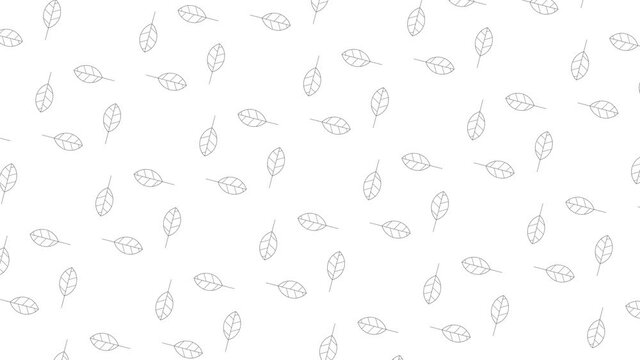 Elm tree leaves black thin line icons on a white background. Seamless loop motion graphic pattern with animated leaves in geometric grid