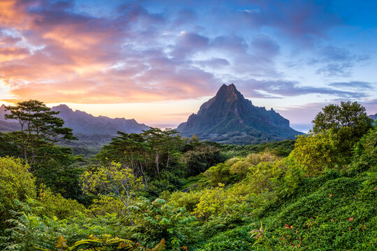 Mont Rotui seen from the Belvedere Lookout at sunset, Moorea island, French Polynesia