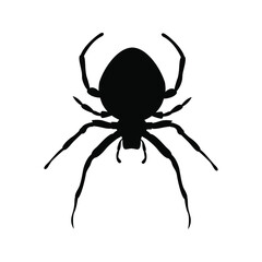 Spider vector icon. halloween illustration sign. insect symbol. spiderweb logo.
