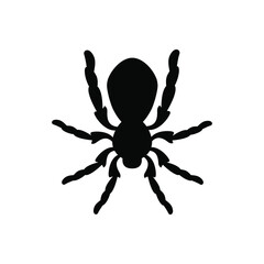 Spider vector icon. halloween illustration sign. insect symbol. spiderweb logo.
