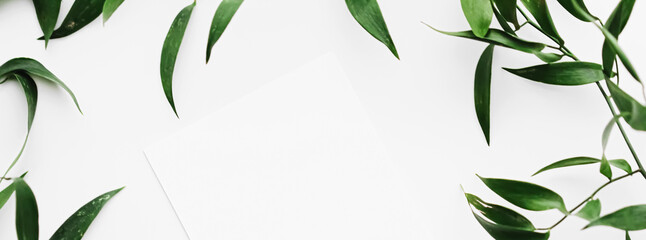 Blank white card, green leaves on white background as botanical frame flatlay, wedding invitation...