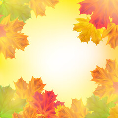 Autumn background with leaves. Realistic seasonal maple tree leaves with sunlight and sky for poster, banner, advert
