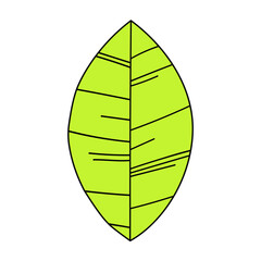 Vector illustration of a green leaf isolated on a white background.