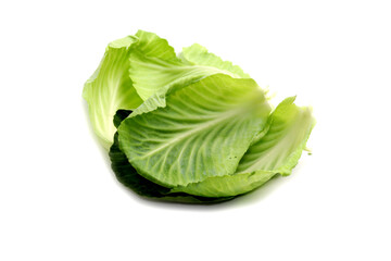 Fototapeta premium Cabbage Leaf Isolated on White Background