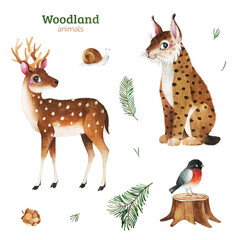 Cute Woodland collection.Watercolor set with funny forest animals-deer,lynx,snail,bullfinch,tree stump.Perfect for education, 
baby shower,room decor,template cards,books,baby clothes,t-shirt prints.
