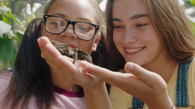 teenage girls playing with tarantula spider friends taking photos using smartphone sharing zoo excursion on social media having fun learning about arachnids at wildlife sanctuary 4k