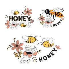 A set of designs of bees, flowers, the word honey. Sketch with cute characters - bees and flowers in the Doodle style.
