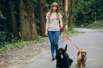 Pet walker having a stroll with cocker spaniel