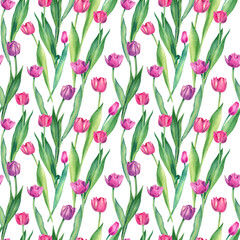 Lovely watercolor spring flowers on white background, seamless floral romantic pattern. Botanic illustration with delicate pink, purple tulips with green leaves for wallpaper, wrapping paper and