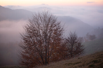 Obraz na płótnie Canvas Beautiful autumn nature landscape in Carpathian mountains.