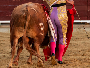 Tauromaquia