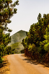 Carretera en Teno Alto, isla de Tenerife