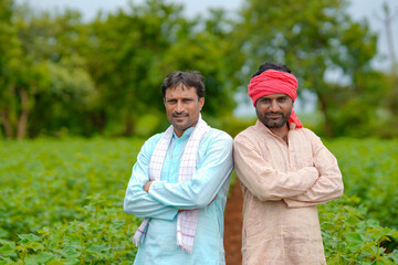 Two indian farmers standing at cotton agriculture field.