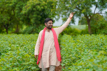 Young indian farmer standing in cotton agriculture field.