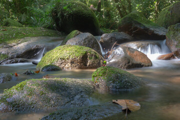 Naklejka na ściany i meble small waterfall river in the forest