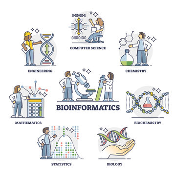 Bioinformatics as IT software for biology data outline collection set. Biological science information processing and analysis with computer technology methods for bio engineering vector illustration.