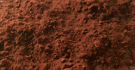 Cacao en polvo. Cocoa powder.