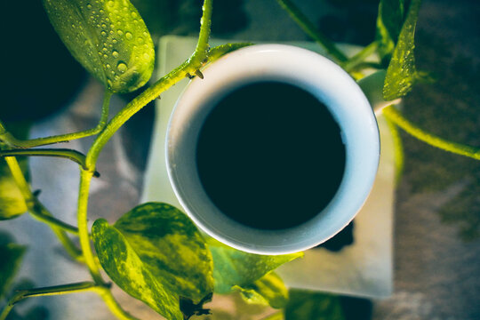 Projekt Coffee