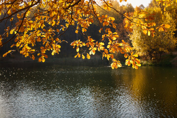Autumn background. Golden foliage in the autumn park and lake, peace and quiet in the city park