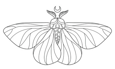 Butterfly, night-fly coloring page for children and adults. Hand drawing vector illustration in black outline on a white background
