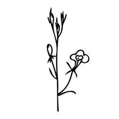 One Vector Botanical Illustration Branch Plant with black line on white background.Floral,Summer hand drawn doodle style picture.Designs for packaging,social media,web,cards, posters,invitations.