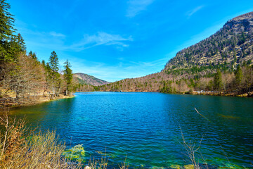 Naklejka premium Vorderer Langbathsee lake in Alps mountains, Austria. Beautiful spring landscape.