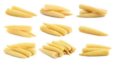 Set with tasty baby corn cobs on white background