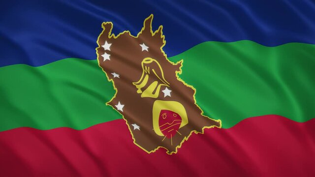 Amazonas - Waving Flag Video Background