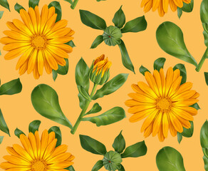 seamless pattern of marigold flowers and blooms