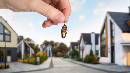 Woman holding dead cockroach and blurred view of modern houses on background. Pest control - obrazy, fototapety, plakaty