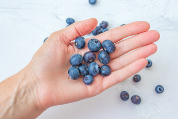 Hand hold Harvest summer jam ingredient organic bio tasty blueberry healthy natural purple fruit berry for sweet dessert vitamin antioxidant snack with fresh wet water drop